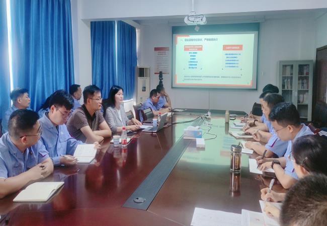 軸研所黨委副書記、紀委書記江瑋到銷售公司調研并講授黨紀專題黨課